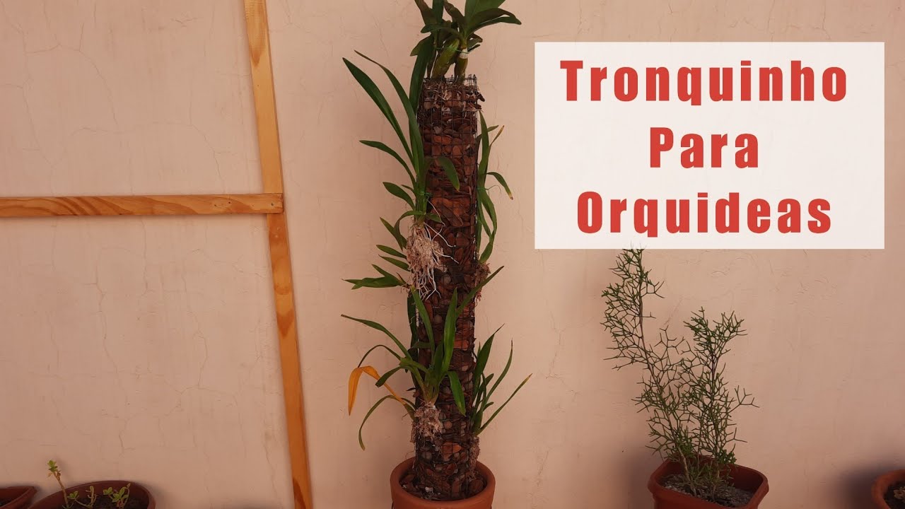 🔴Tronco para Orquideas com Cerca Arame