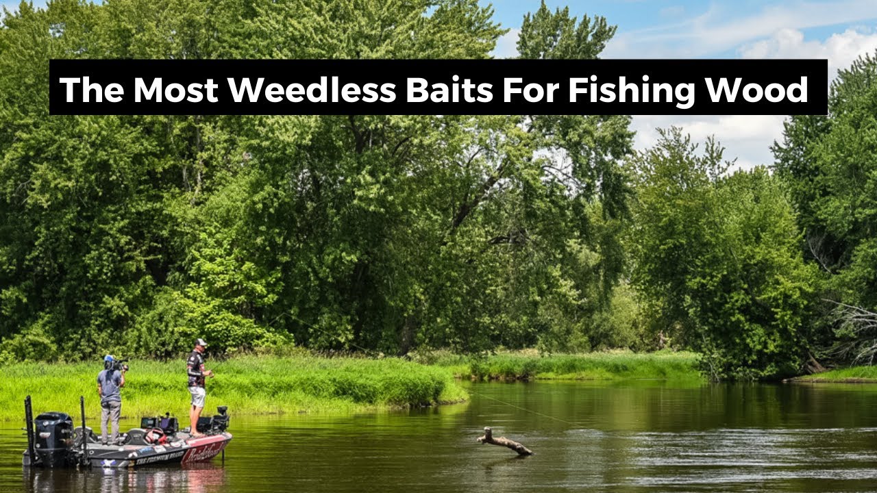 The Most Weedless Baits For Fishing Wood