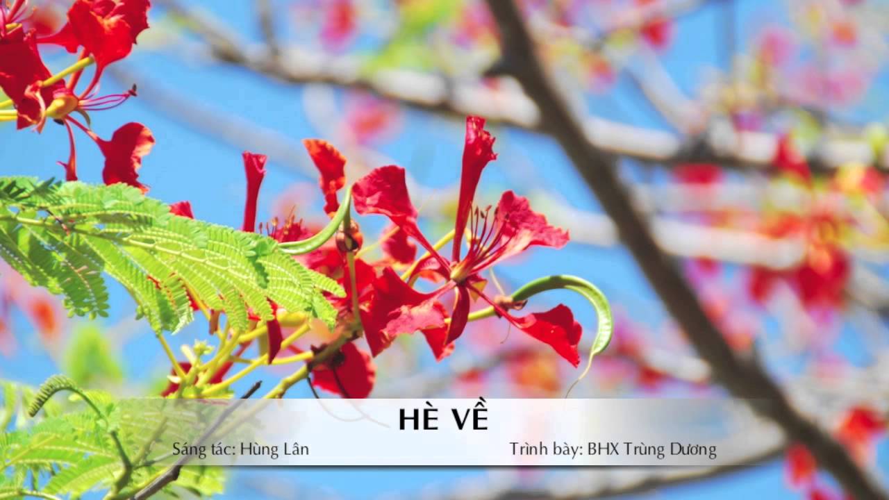 HÈ VỀ - Hùng Lân