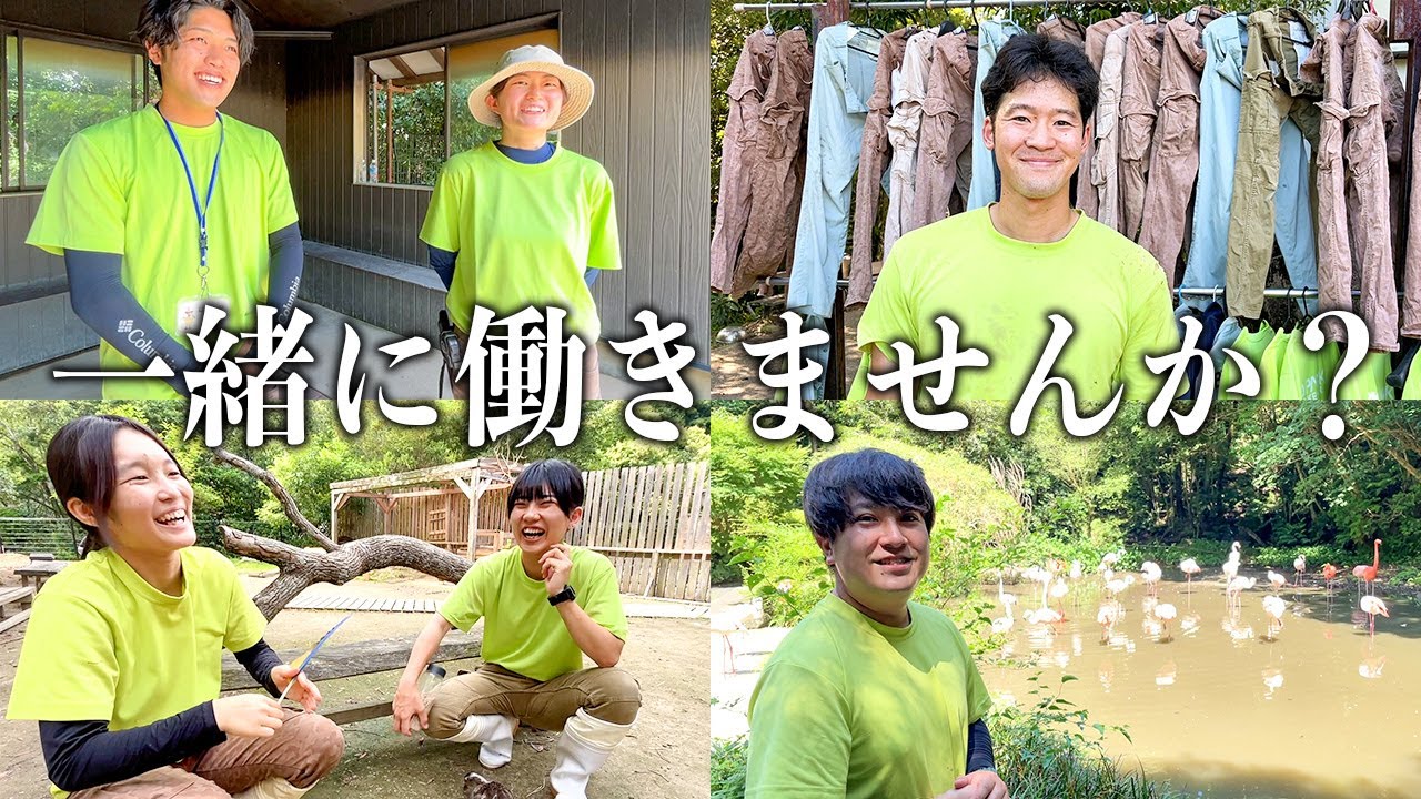 高卒〜大学院まで学歴関係なし！僕たちが飼育員になる為にしたこと。【就活】
