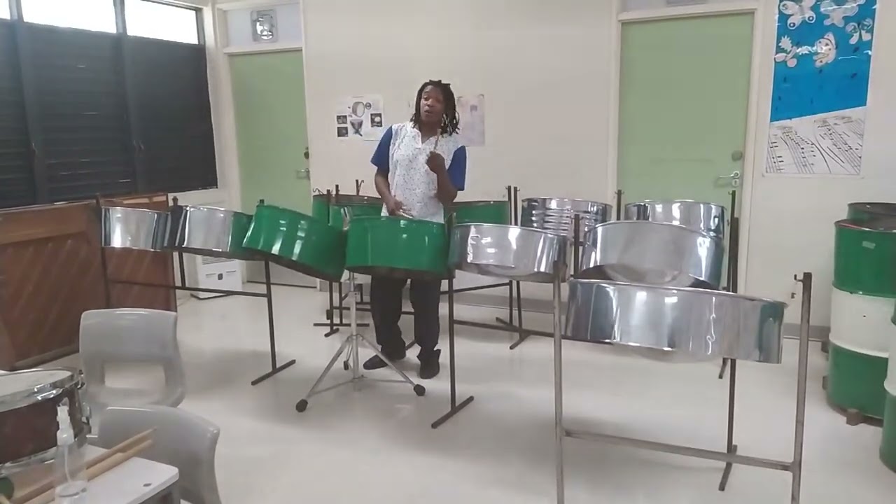 Different Types of Steel Pans