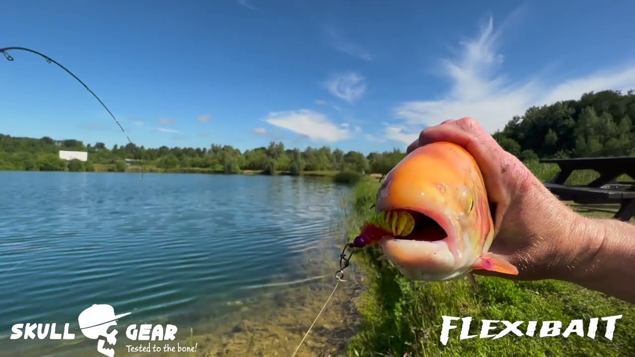Flexibait - Sommerfiskeri - Dansk
