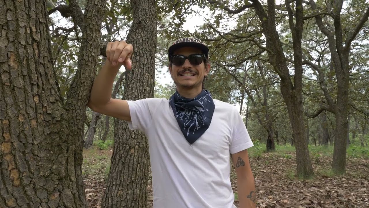 🌱 Día a Día • Visita a la reforestación 🌲 (1 año después)