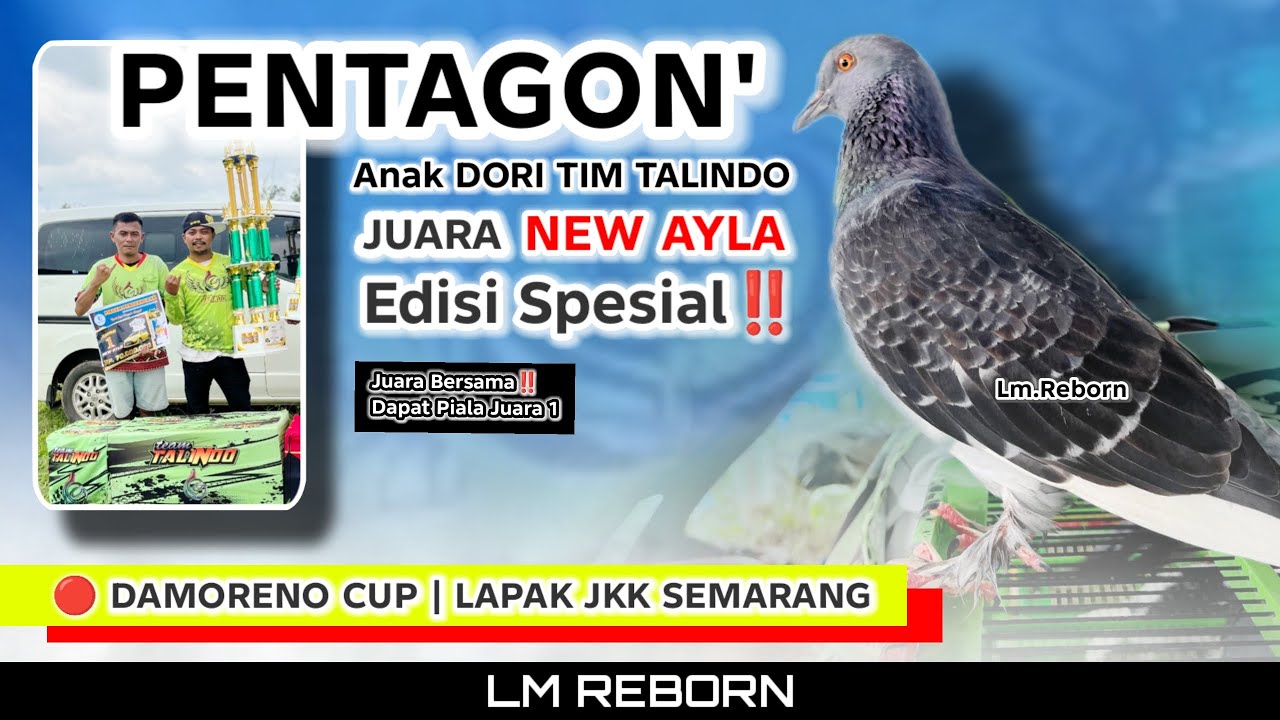 Full ShootDEM💥., PENTAGON' tim Talindo Sang anak Dori; JUARA NEW AYLA DAMORENO cup JKK semarang