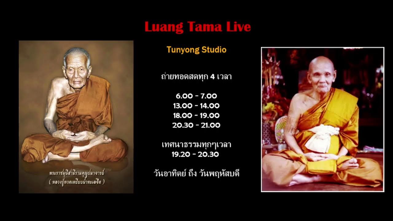 หลวงตาม้าถ่ายทอดสด วัดถ้ําเมืองนะ เชียงใหม่ Live Stream