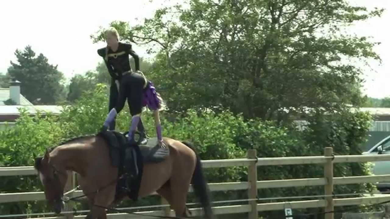 Open dag Manege Heemskerk