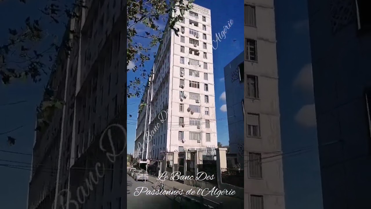 LA BALADE DU JOUR AU RUISSEAU, ALGER DZ RUE DES Fusillés ex Polignac jusqu'au 20 AOUT BELOUIZDAD