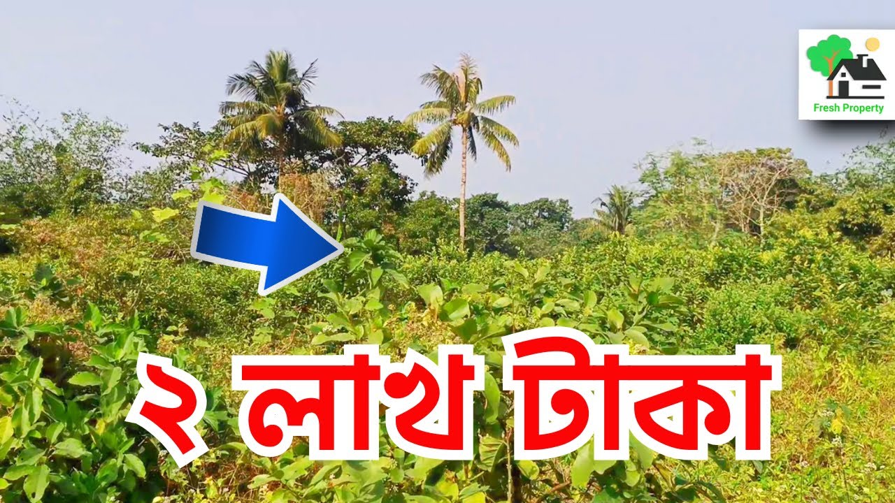 Fp - 1102 | কলকাতাতে পিচরোডের পাশে উঁচু জমি | Fresh Property | 9073 145 145