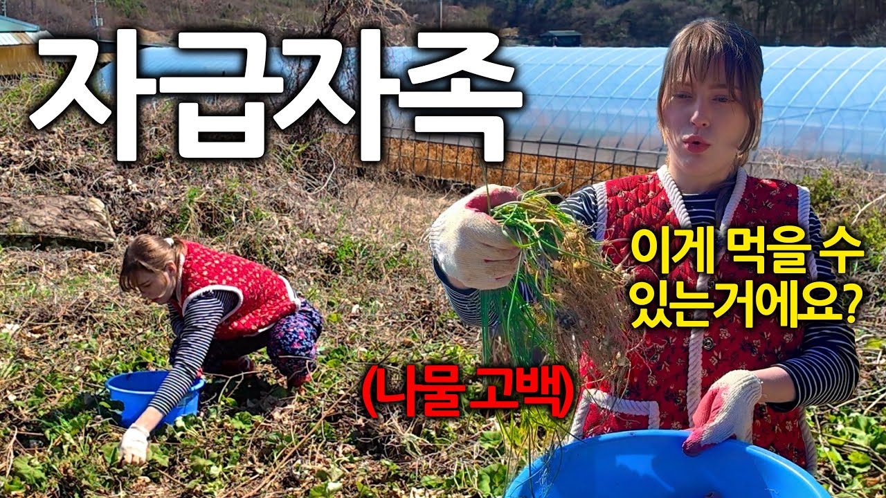 한국 와서 꽃보다 나물이 더 좋다는 독일여자ㅋㅋ