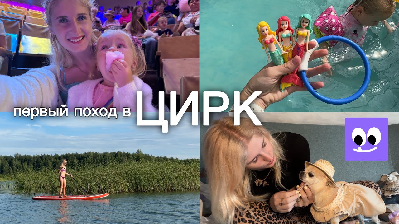 ИГРУШКИ ДЛЯ НЫРЯНИЯ 🤿 ЗАКУП ОДЕЖДЫ ДЛЯ СОБАК (и кошек) ИЗ ЗООЗАВРА 🐕‍🦺 ПЕРВЫЙ ПОХОД В ЦИРК 🎪