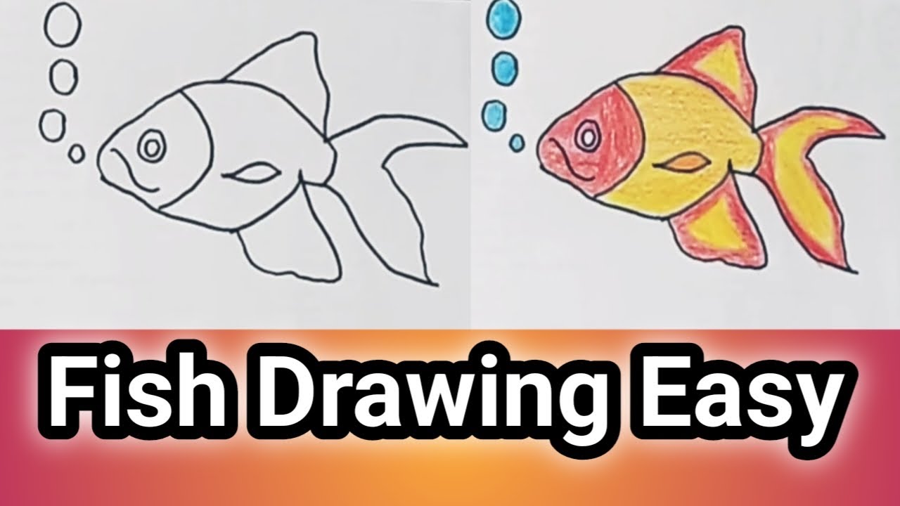 Fish Drawing Easy || Easy Drawing || Aimanshow