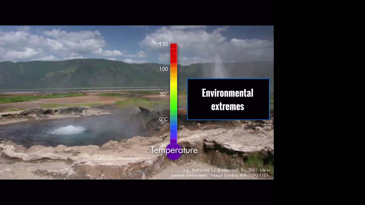 Build-a-Cell seminar Lynn Rothschild: How extremophiles can aid Build-a-Cell