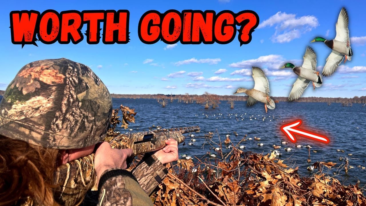 Reelfoot Lake Duck Hunting...Worth Going?