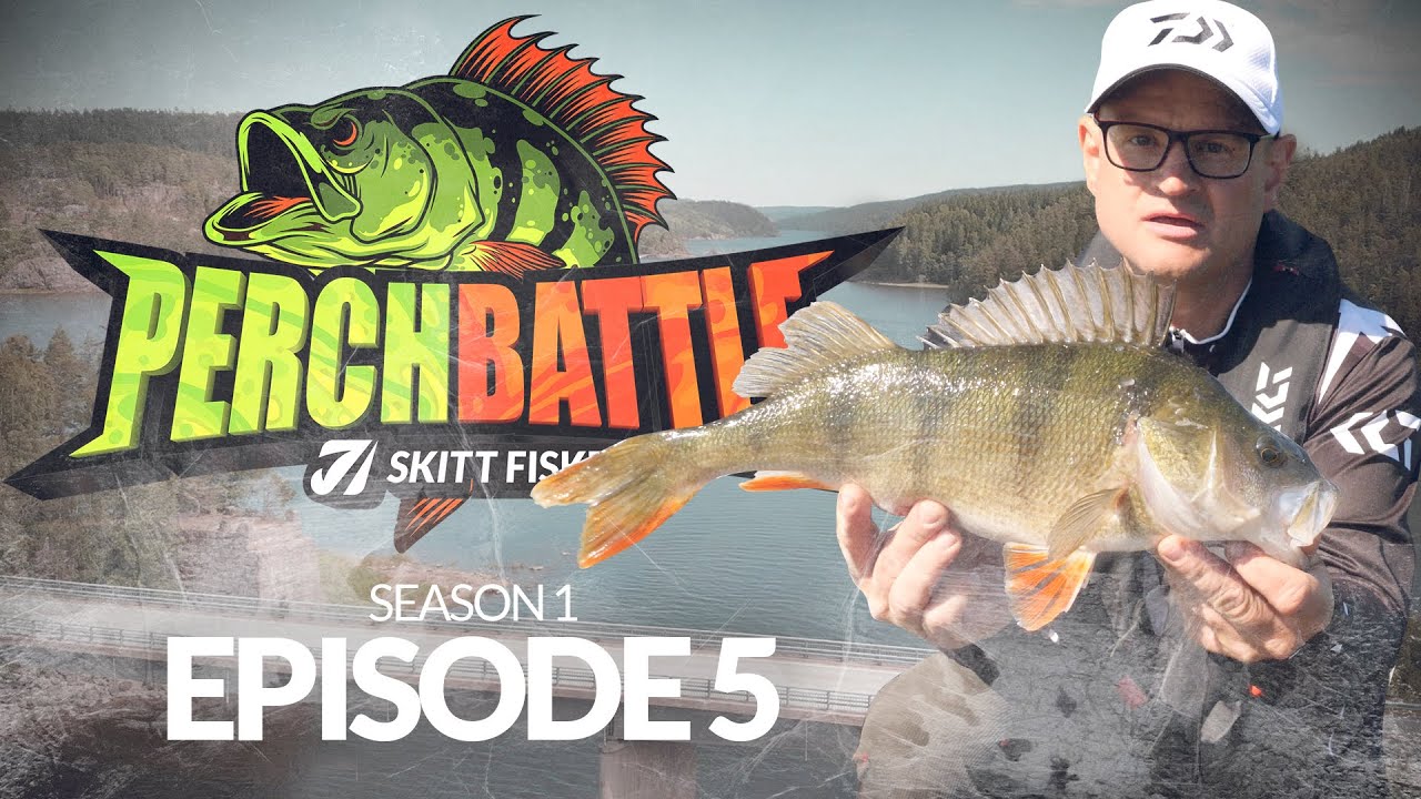 PerchBattle S1 Ep5 - Skittfiske.no (Multi subs)