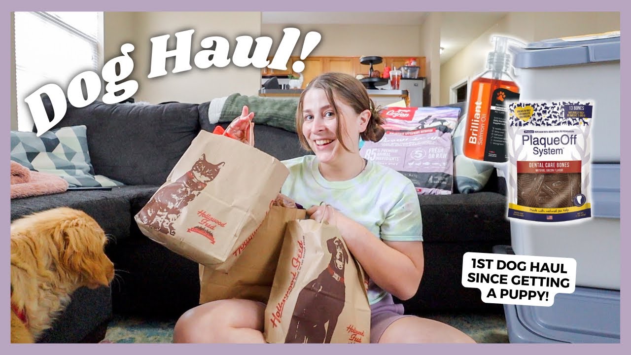 MONTHLY DOG HAUL!! Tons of Goodies! Dog Food, Treats, Toys, + MORE!