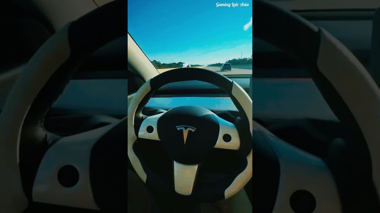 Tesla Model Y Autopilot. 
