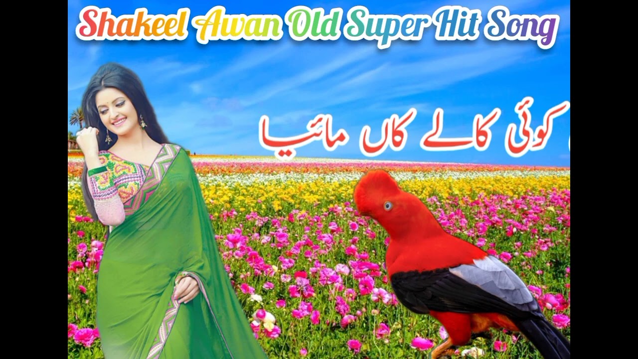 Shakeel Awan old hindko pahari super hit song koi kaly kaan maiya
