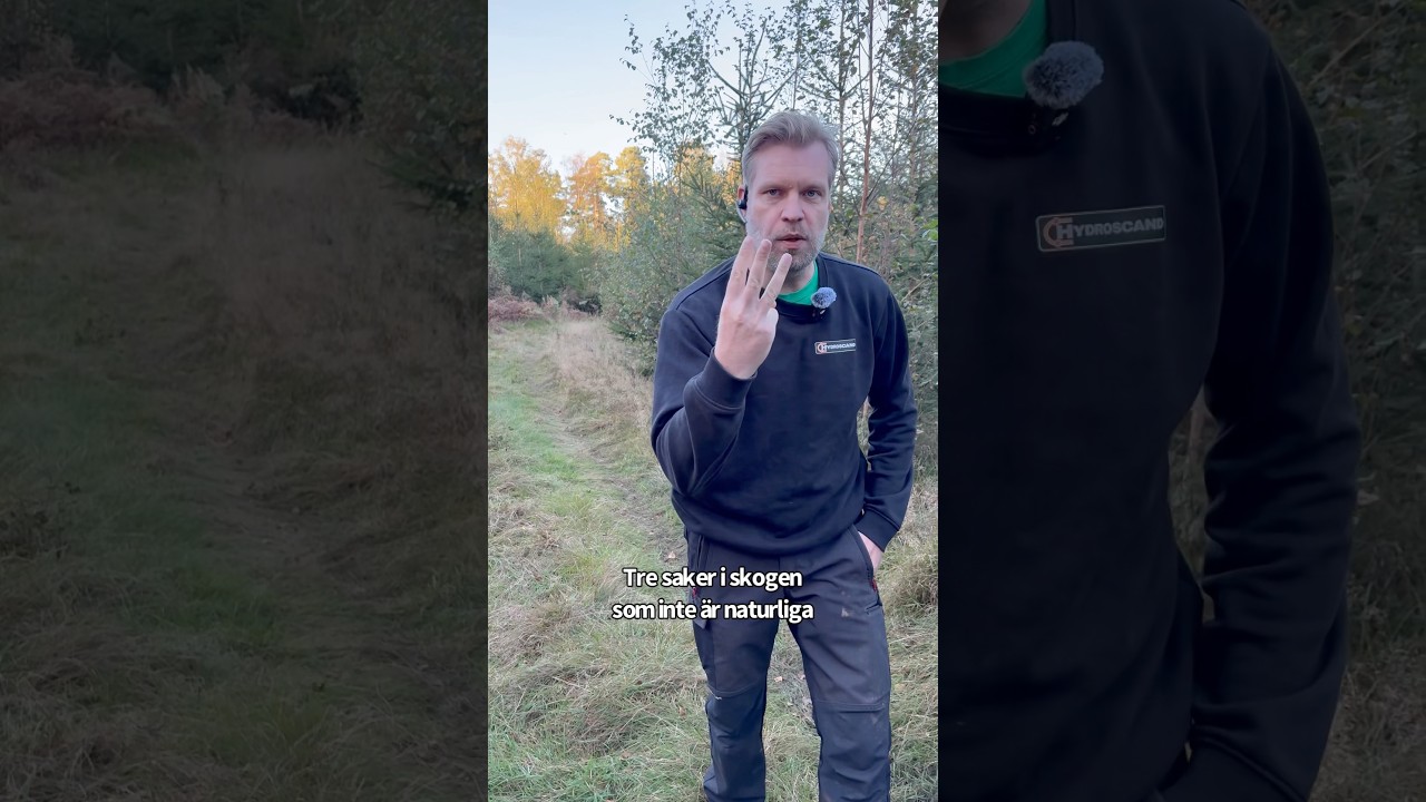 Har du sett detta i skogen? #skog #skogstraktor #skogsbruk #skogsmaskiner