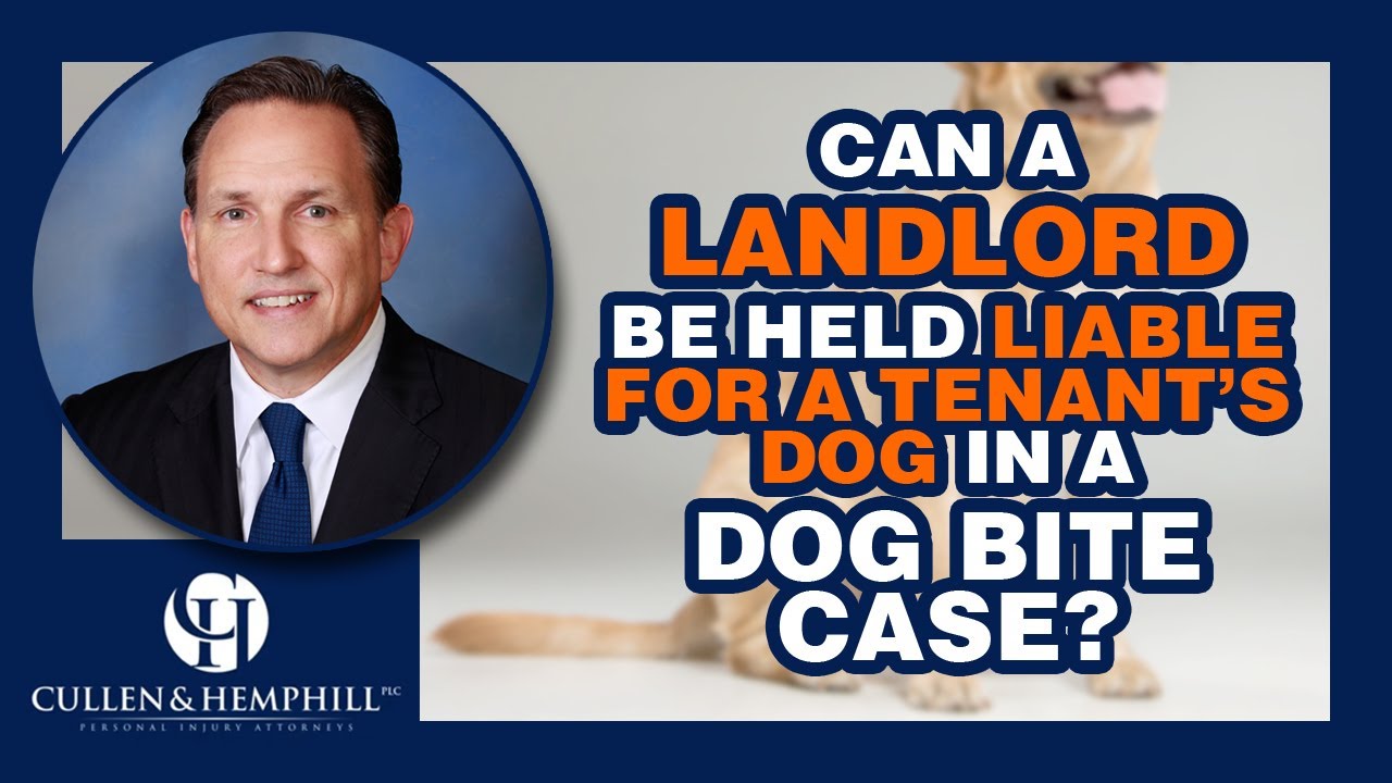 Can A Landlord Be Held Liable For A Tenant's Dog In A Florida Dog Bite Case?