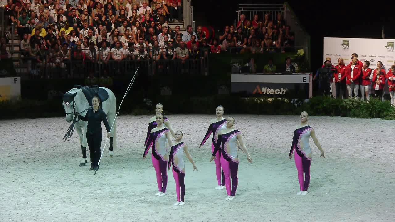 WEG Normandie 2014 - Swiss Vaulting Team - Silver Medal