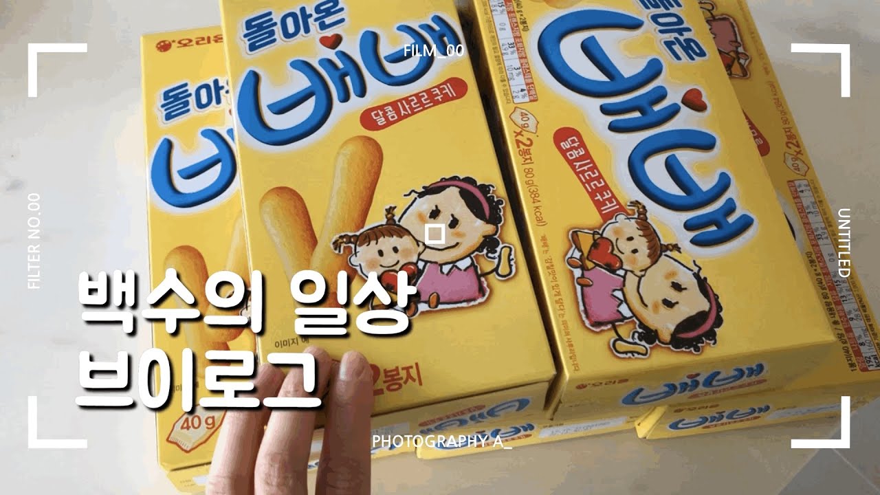 백수의 일상 브이로그. 돌아온 배배, 벌떡 첫 영접, 결혼식 먹방
