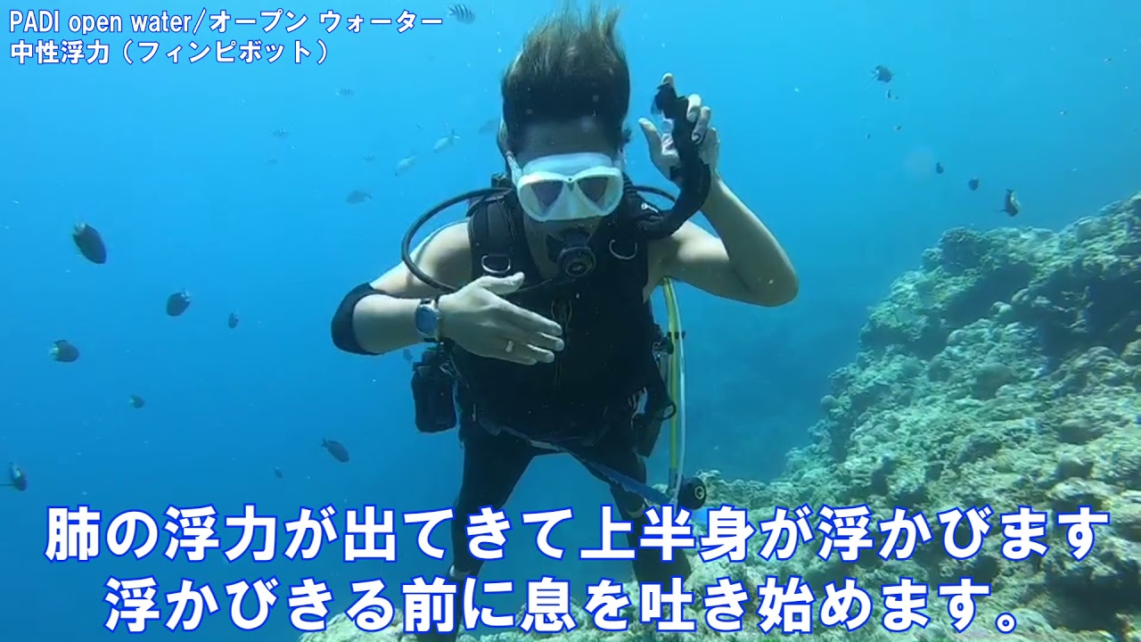 PADIダイビングライセンス講習　中性浮力のコツ(フィンピボット）　オープンウォーターライセンス講習　沖縄でダイビングライセンス取得