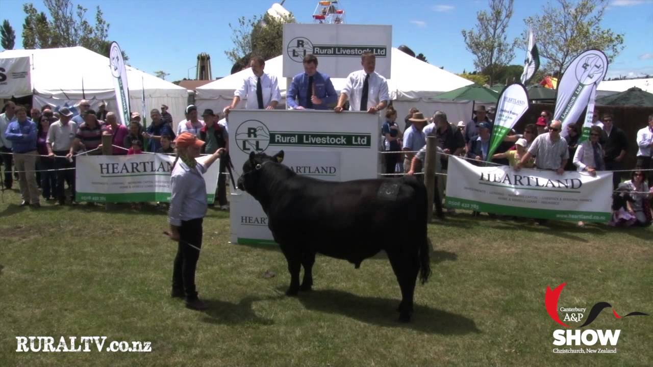 2012 Young Auctioneers Competition - Tim White - Rural Livestock