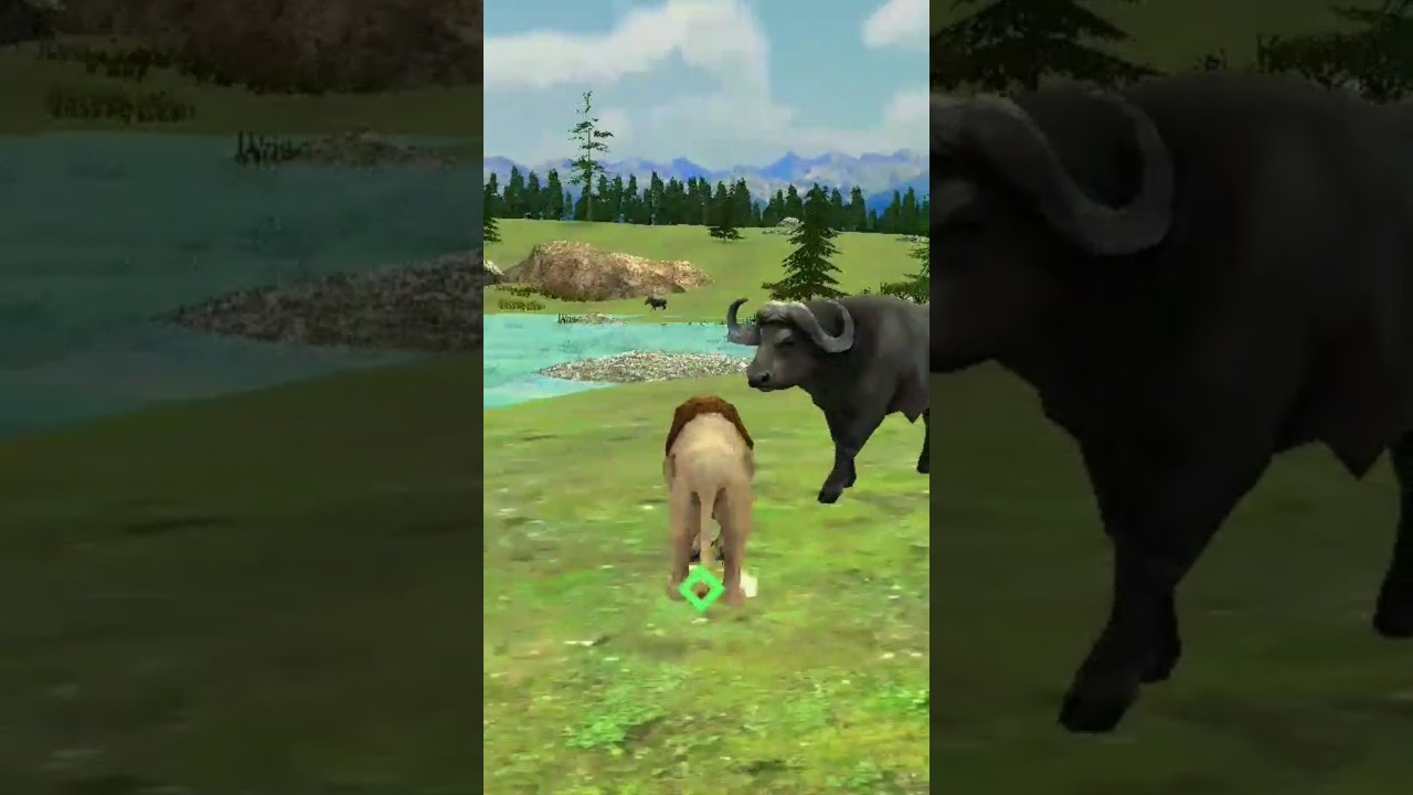 lion fighting simulator 3D game #lion #animalpark #lionfight #buffalo#animals