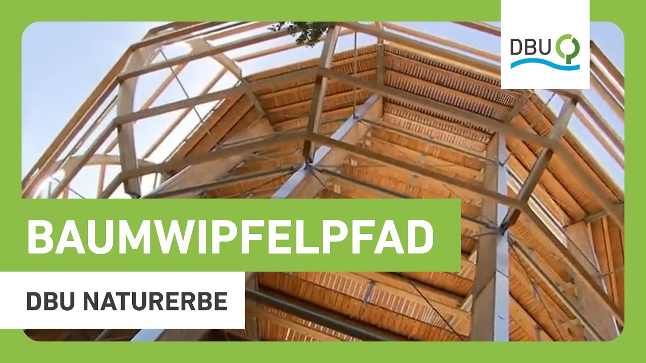 Baumwipfelpfad Rügen