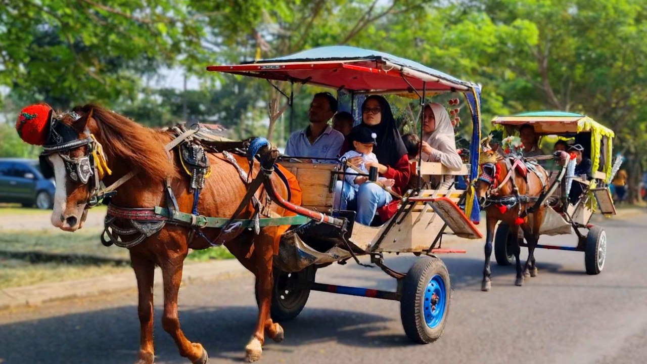 NAIK KUDA ~ NAIK DELMAN ISTIMEWA ~ KALAU KAU SUKA HATI ~ DISINI SENANG DI SANA SENANG - HORSE RIDING