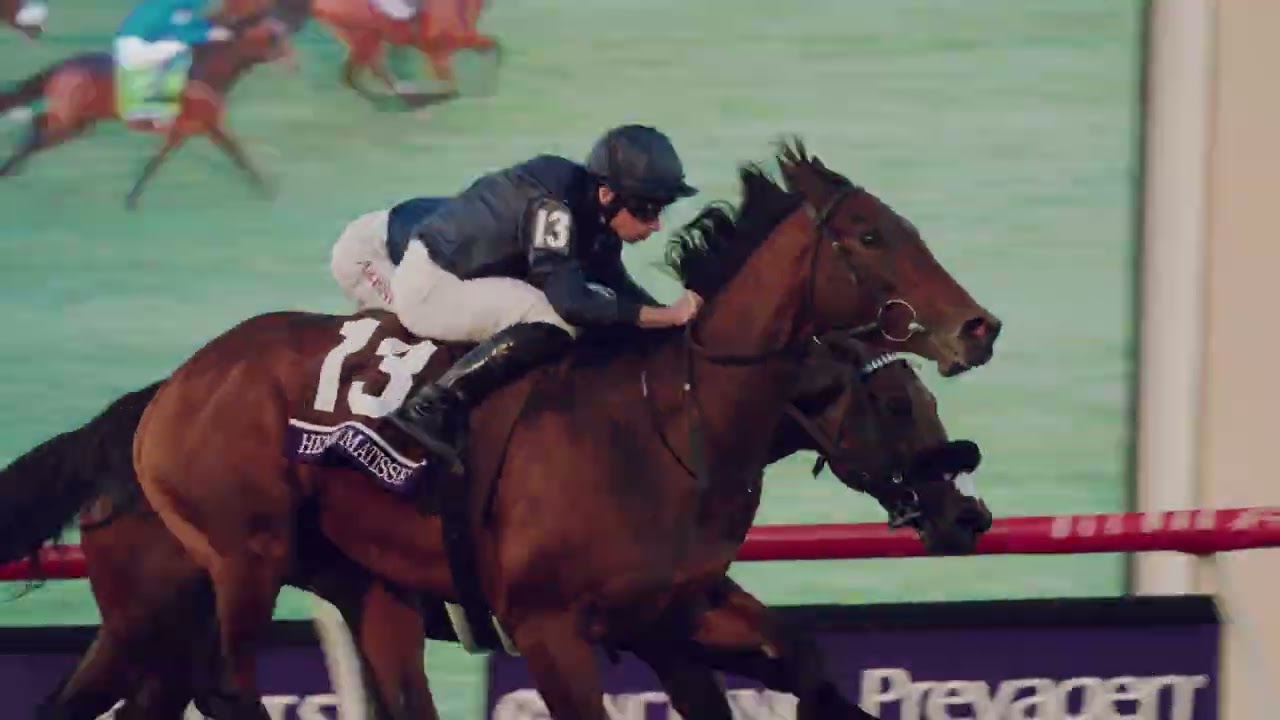 Livestream the Breeders' Cup | Oct. 31 - Nov. 1
