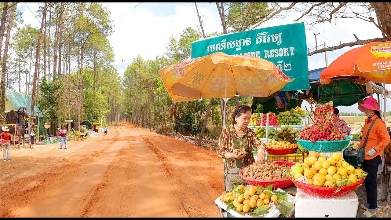 Roadside Fresh Fruit and Food in Countryside, Kirirom Park, Cambodia Best Local Street Food Tour