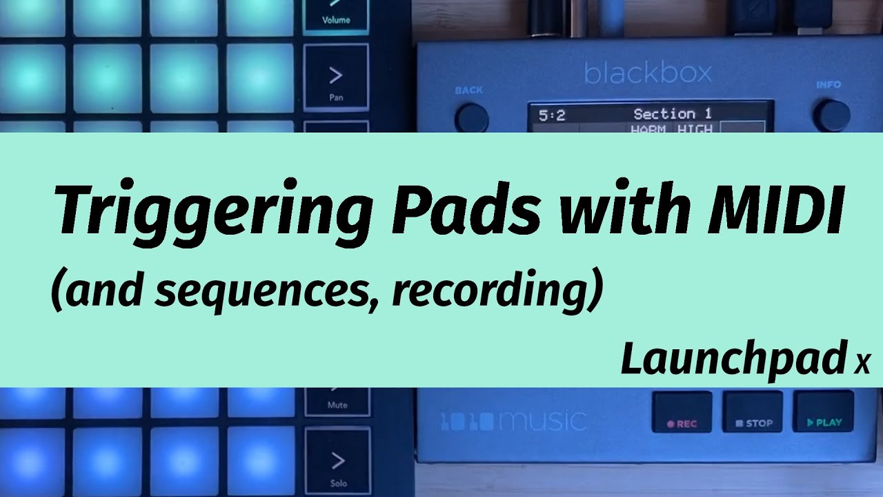 1010music Blackbox Tip: Triggering pads with a Midi Controller (Launchpad X)