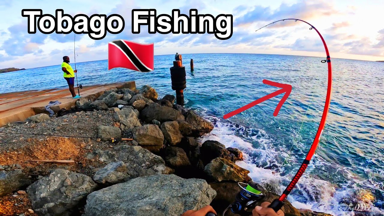 This is where the action is | Trinidad and Tobago Fishing 🇹🇹