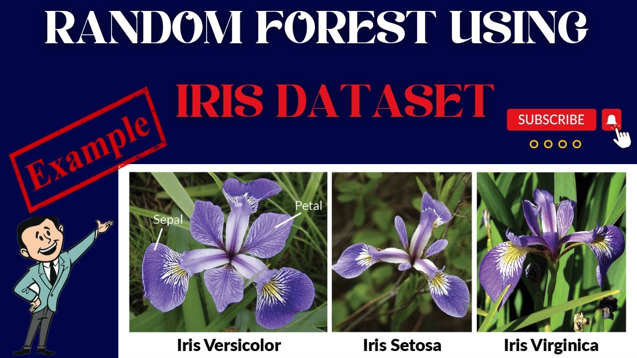 Example of machine learning classification technique on Iris Dataset using Random Forest