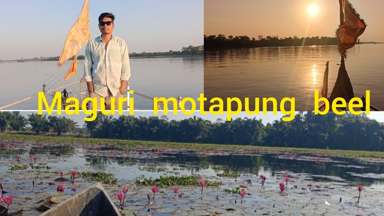 Maguri motapung beel (tinsukia)