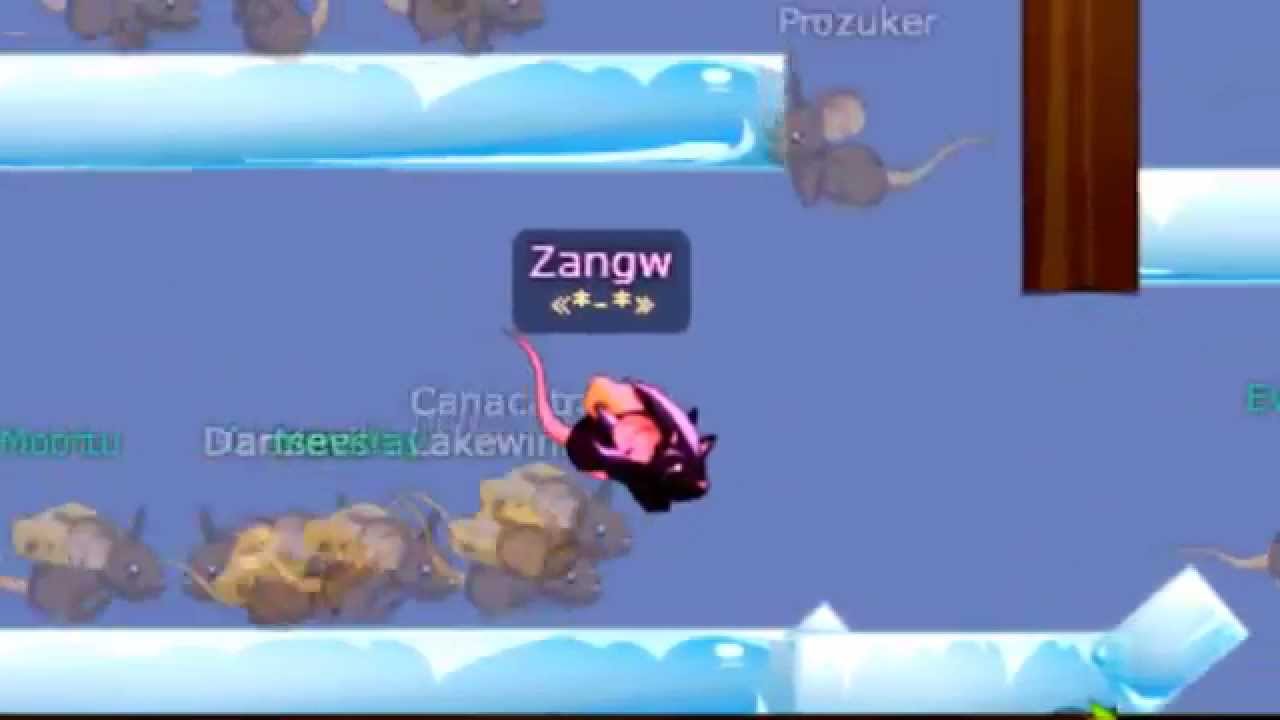 Transformice - Zangw 55k || First