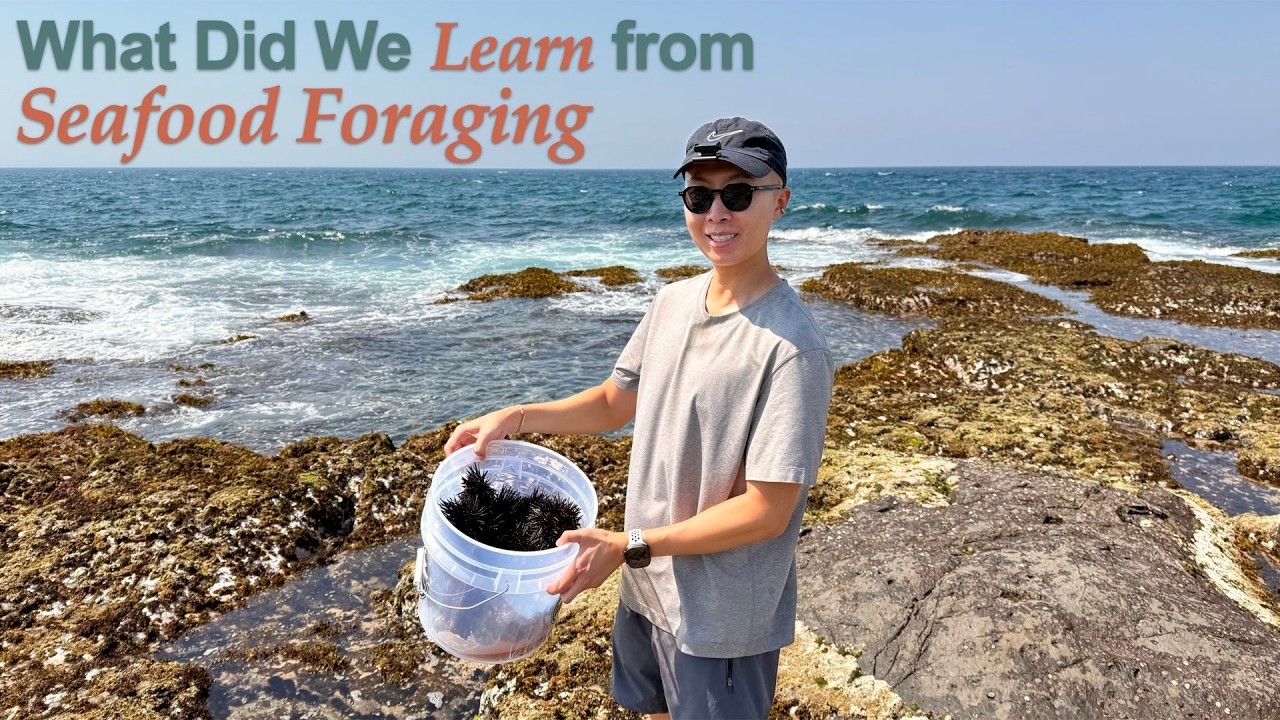 First time seafood foraging, and what I learned
