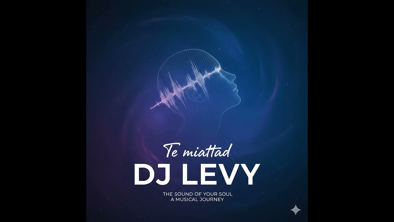 Dj Levy -Te miattad