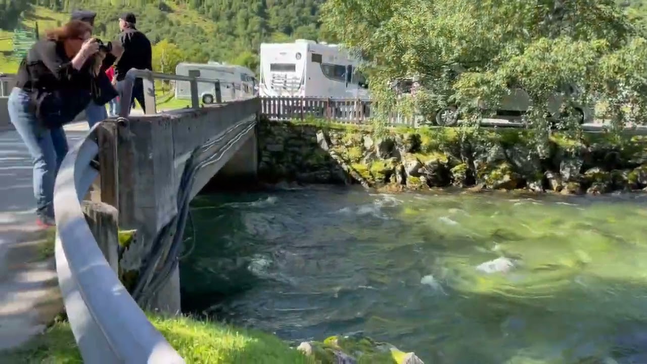 2022 Geiranger Fjord Norway   4K