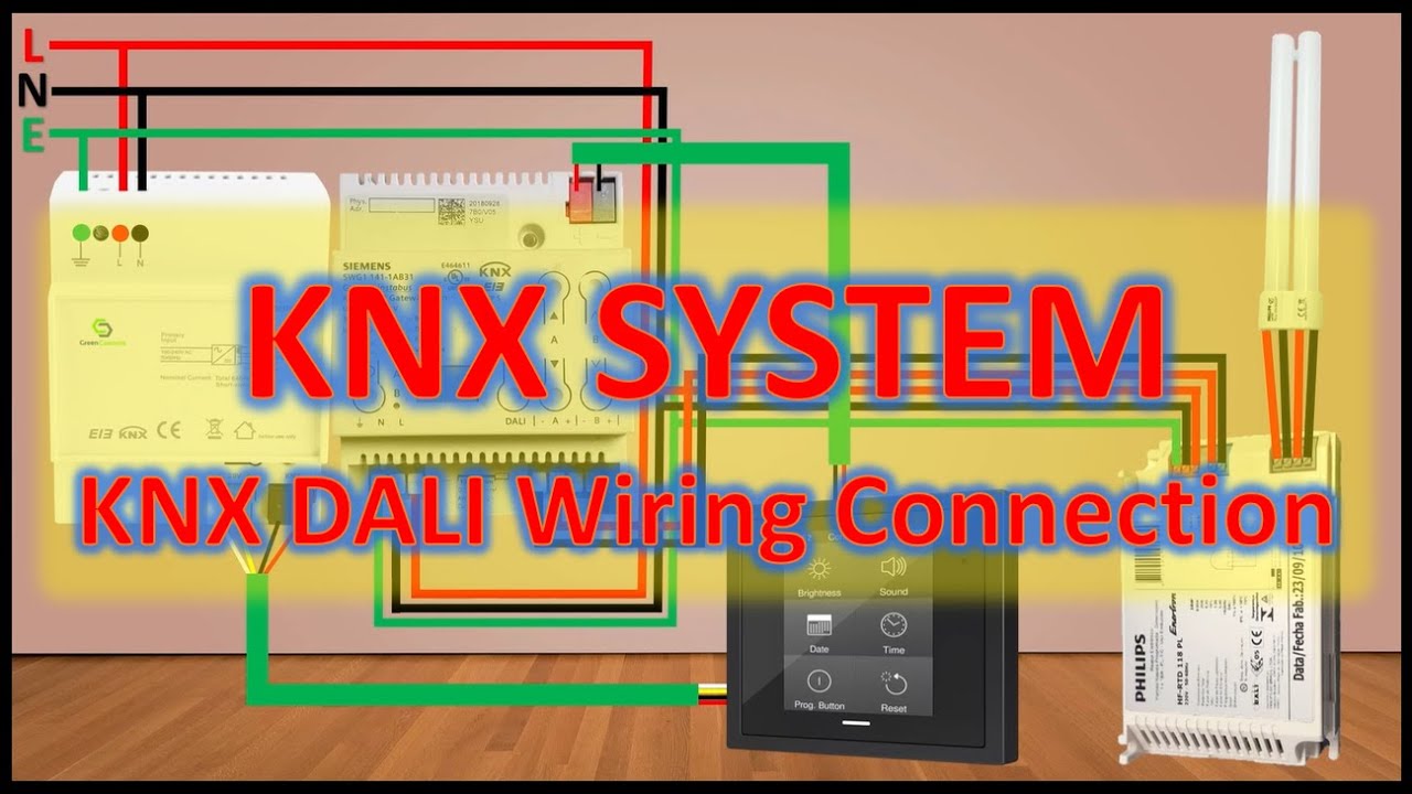 KNX System KNX DALI Wiring Connection | Electrical Engineering Basics #knx #electrical #engineering