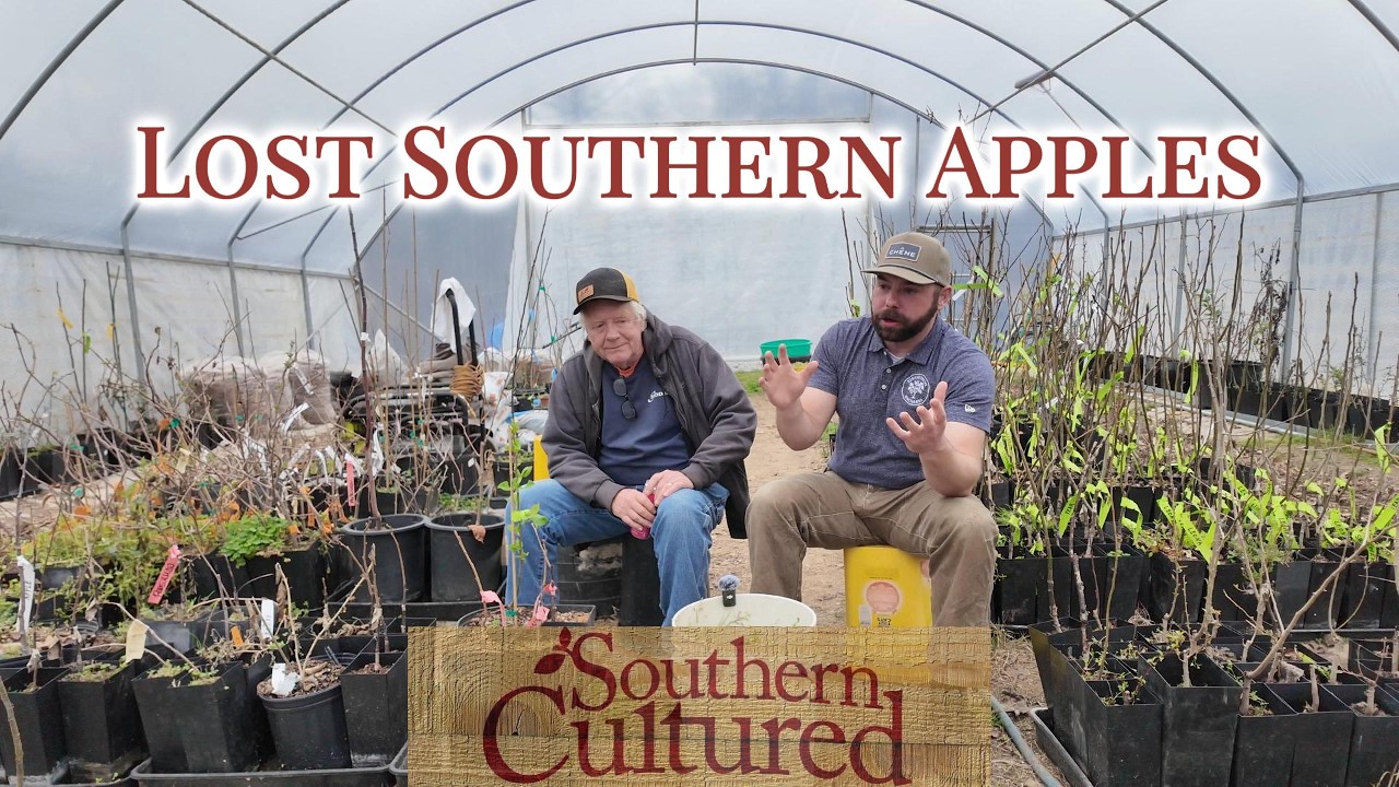 Regenerative Orchards - Conversations with Southern Cultured Orchards and Nursery
