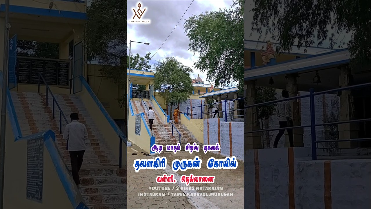 தவளகிரி வள்ளி தெய்வானையின் சிறப்புகள் ❤️ Thavalagiri Murugan Temple ⚜️ Aadi Special #shortsfeed