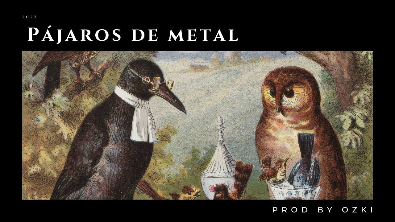 [FREE]  Drill Type Beat | Choir drill | pajaros de metal