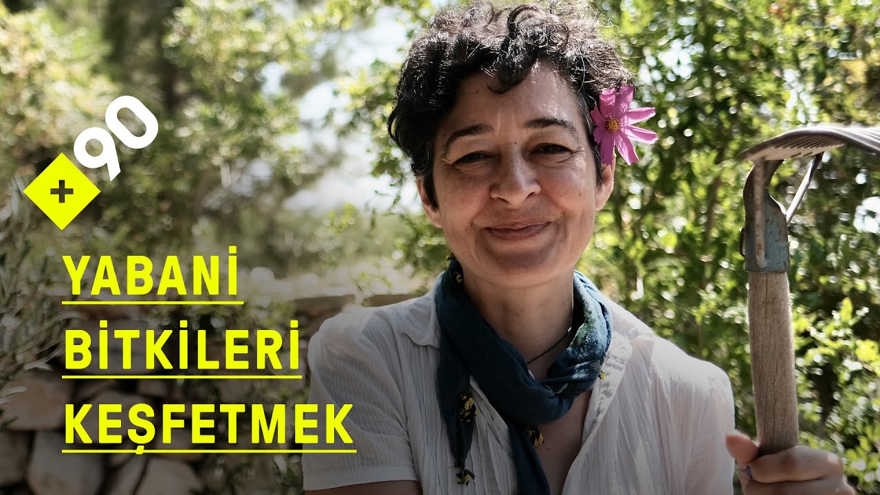 Yabani bitkileri keşfetmek: 