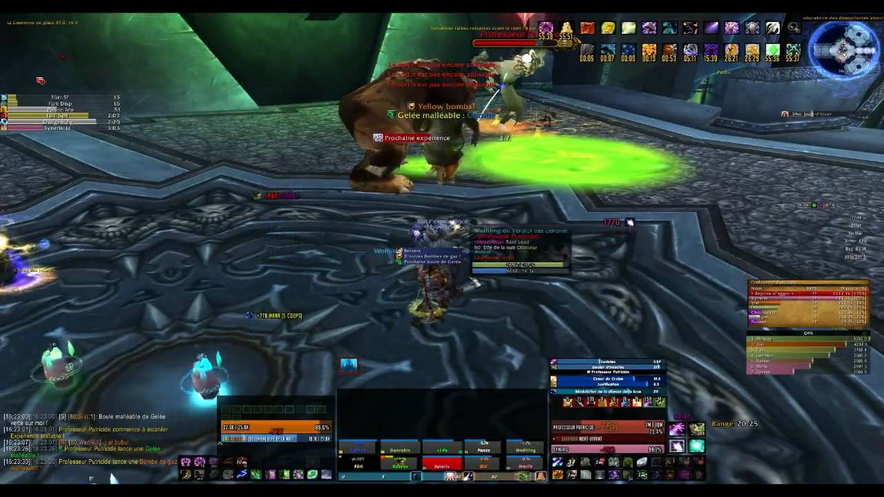 La guilde Hyp&eacute;r&eacute;nas Alliance Cho'Gall
