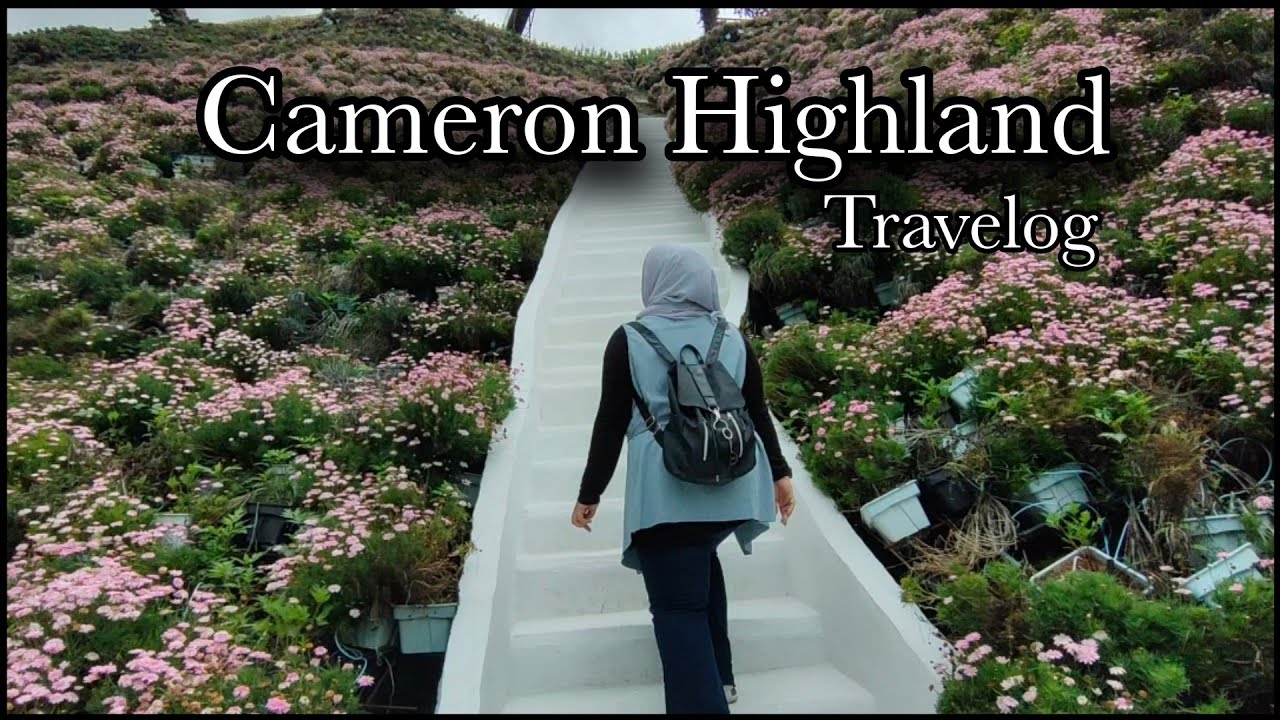 Travelog | Cameron Highland | 2 Hari 1 Malam | Flora Park