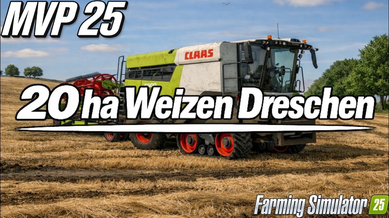 #20 Ein FELD. Eine ARBEIT. WEIZEN DRESCHEN! | TIMELAPSE | MVP25 | Farming Simulator 25