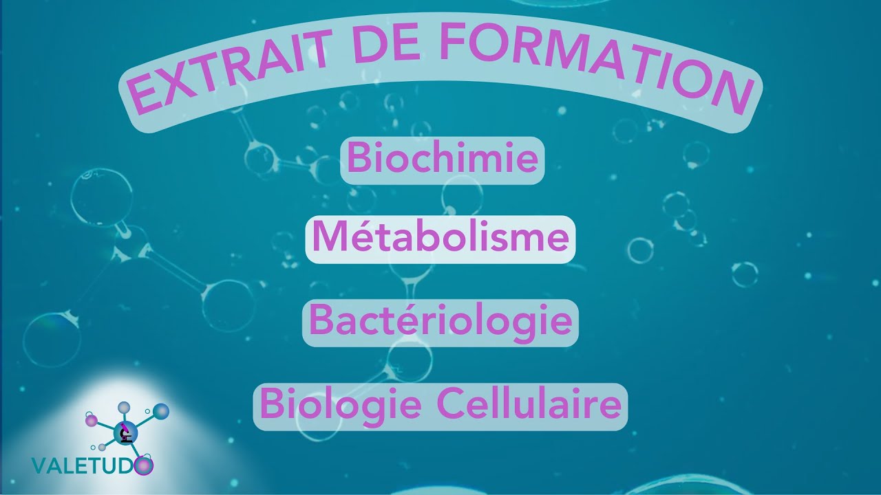 🔥 Métabolisme du Glycogène et Régulation Hormonales, les différentes régulations