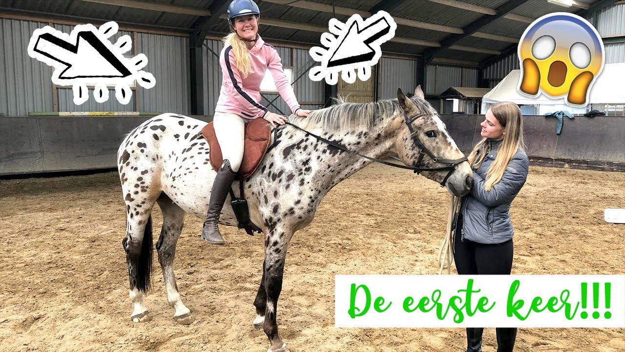 VOOR HET EERST OP OLYMPUS ZITTEN! | felinehoi VLOG #185